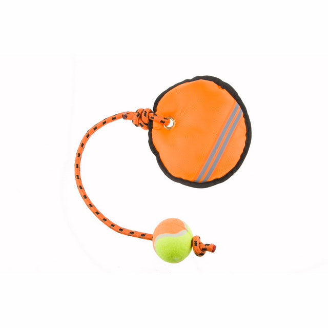 GIOCO GALLEGGIANTE CON PALLINA