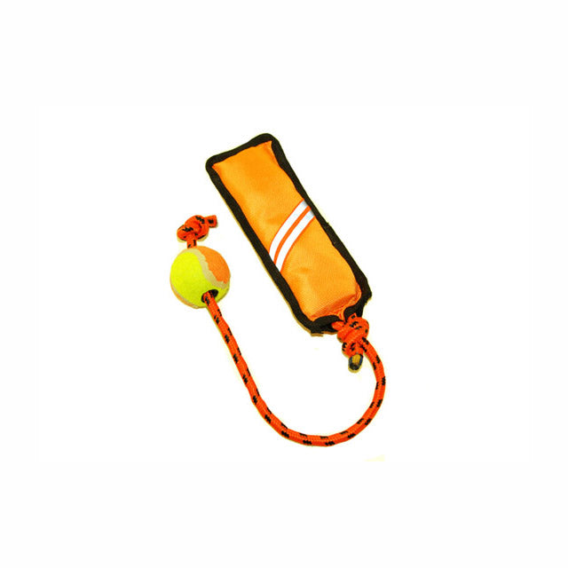 GIOCO GALLEGGIANTE CON PALLINA