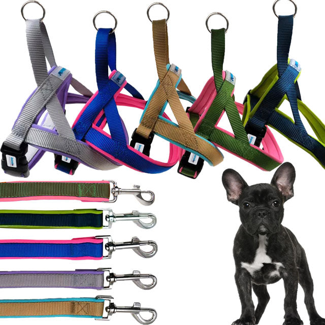 Parure Pettorina Nylon Softer per Cani Mix Color