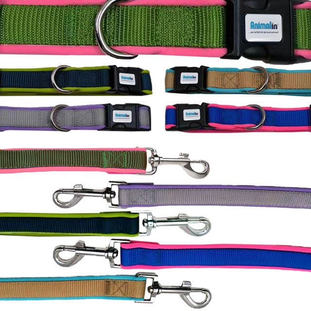 Parure Collare e Guinzaglio in Neoprene per Cani Mix Color