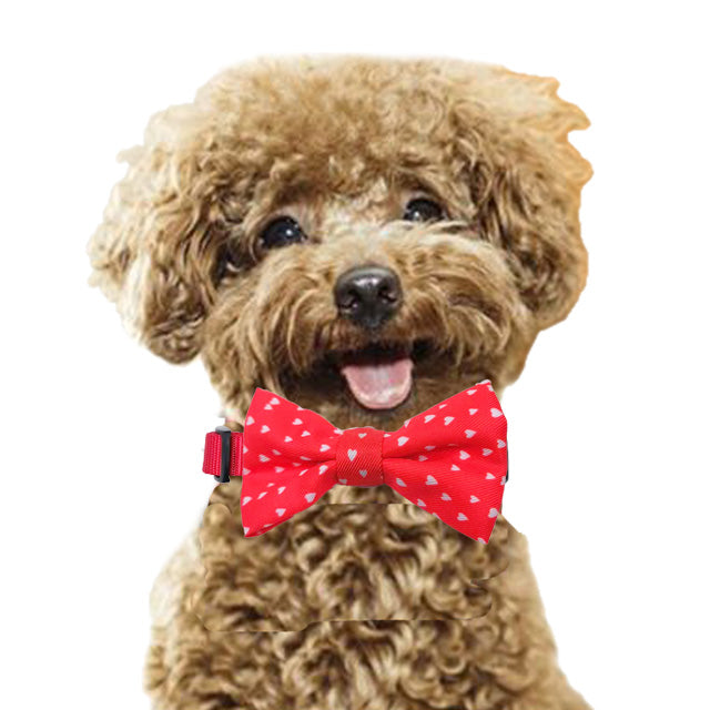 Papillon per collari cani e gatti 6 x 3,8 cm in diverse fantasie colorate